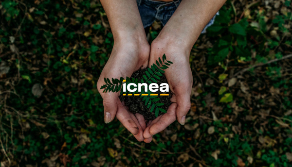 manos sujetando una planta y el logo de icnea